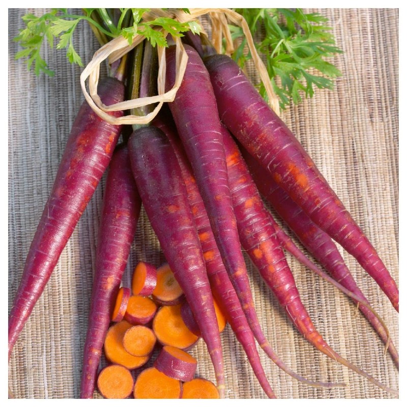Everwilde Farms - 1/4 Lb Cosmic Purple Carrot Seeds -