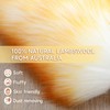 ONESIMUS 2 Pack Lambswool Dusters Fluffy Handheld Natural Feather Duster,