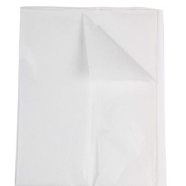 JAM PAPER Tissue Paper - White - 10 Sheets/Pack
