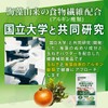 塩分排出 サプリメント しおバリア 60粒 天然 食物繊維 玉ねぎ・海藻由来 減塩 国内製造 GMP認定工場