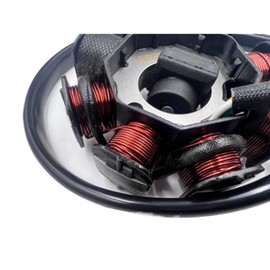 ERRIPA 8-Coil Magneto Alternator Stator for GY6 125cc 150cc Engines - Compatible with 152QMI 157QMJ Chinese Scooters Mopeds ATVs Go Karts Quads - Fits Taotao Jonway Icebear Baja Coolster Lance,SUNL