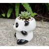 Cute Cartoon Animal Shaped Succulent Cactus Plant Pots-Plants Not Included