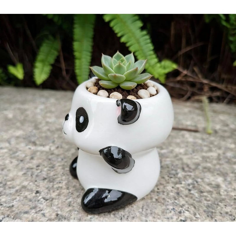 Cute Cartoon Animal Shaped Succulent Cactus Plant Pots-Plants Not Included