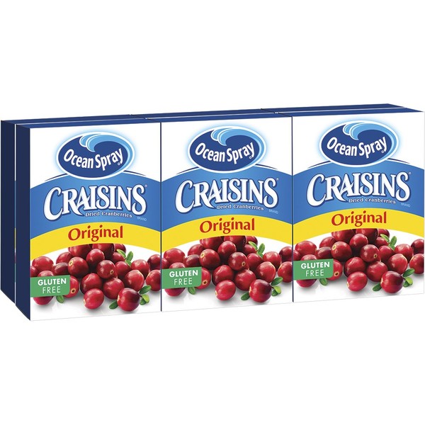 Ocean Spray Craisins Dried Cranberries Original Brick Pack, 1 Oz (2 x 6 Pack)