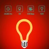YiDiYi Red LED Spiral Filament Light Bulb, 4W (40W Equiv),