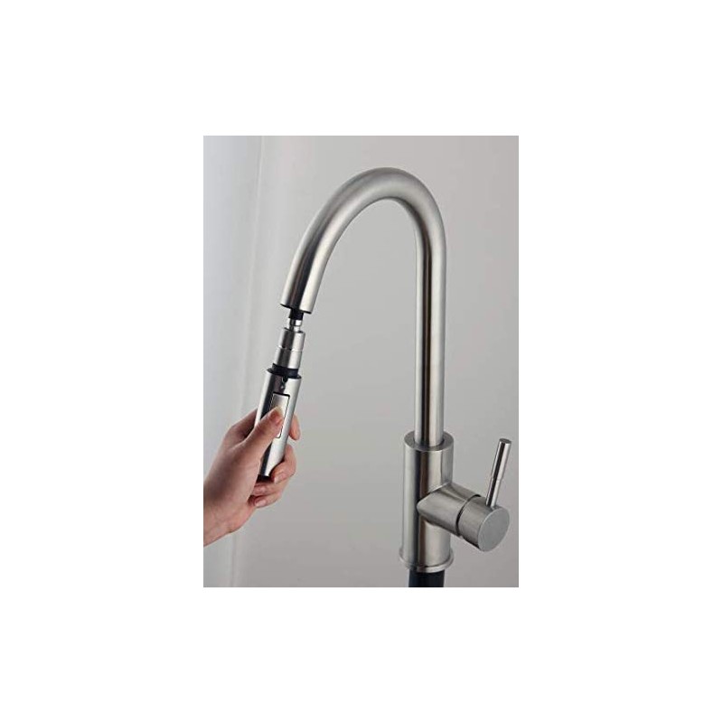 Kitchen Sink Faucet Head 2-Function Pull-Out Spray Head for Bathroom