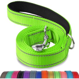 Generic Double-Sided Reflective Dog Leash, 5FT/4 FT with Padded Nylon Handle. Dog Leashes for Small, Medium & Large Dogs, for Walking, Training, in Multiple Colors (Neon Green, 4FT Standard)