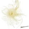 DRESHOW Fascinator Hat for Women, Pillbox Hat with Veil, Headband