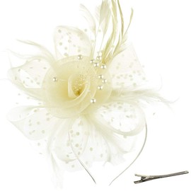 DRESHOW Fascinator Hat for Women, Pillbox Hat with Veil, Headband and a Forked Clip, Tea Party Headpiece