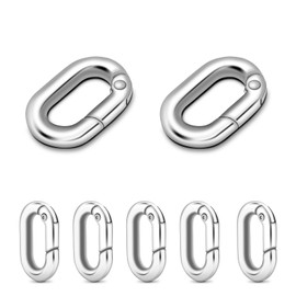 10Pack 5/8 Inch Small Oval Carabiner, Metal Spring Tiny Carabiner Clips for Paracord Keychain Lanyard, Car Key Rings, Dog Tag Clip, Pets Collar Buckles, Purse Keychain Replacement (Silver)