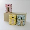 Kyoto Limited Gion Harryokaku Condiment Can Set (Black Shichimi, Ichimi,
