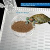 PENCK Acrylic Hanging Turtle Basking Platform, Aquatic Reptile Ramp Dock,
