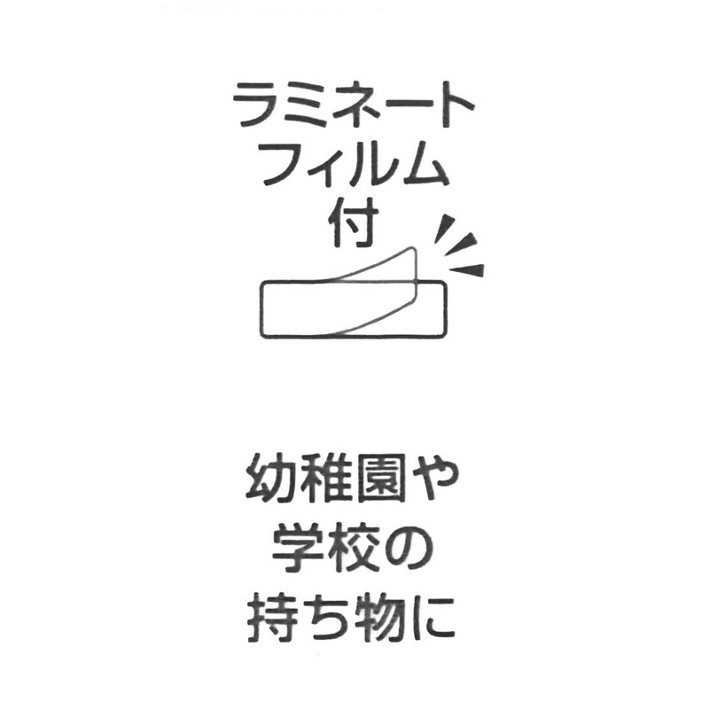 Skater SN1 Name Sticker Boy 17 Sheets