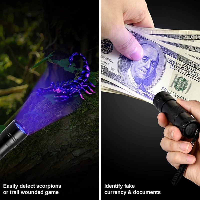 MegaPower (TM) UV Flashlight Black Light 12 LED 395nm Hand-held
