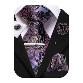 Hi-Tie Dark Purple Paisley Silk Ties for Men Set Jacquard Necktie and Pocket Square Lapel Pin Silver Tie Clip Cufflinks Set Wedding Business 6PCS