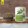 Raab Vitalfood Bio Hanfprotein-Pulver, vegan, Hanf-Pulver mit 49 % pflanzlichem