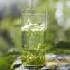 Spring Tips Jasmine Green Tea – Refreshing Everyday Tea, Light