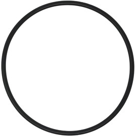 Lid O-Ring Compatible with Hayward CLX200K for Hayward Chlorine Feeders CL200, CL220 and CL220BR (1-Pack)
