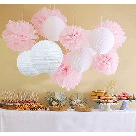 Qian's Party Pink Birthday Party Decorations 12pcs White Pink Tissue Paper Pom Pom Honeycomb Ball Paper Lantern Paper Flower Hanging Pom Wedding Pink Party Decorations Bridal Shower Decoration