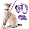 Cat Harness and Leash Set - Escape Proof Adjustable Cat