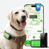 GlocalMe KeyTracker GPS Tracker for Dogs, Global Unlimited Range Pet
