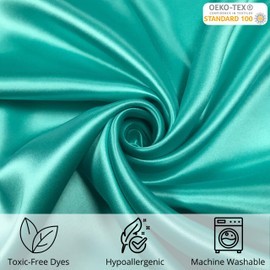 Celestial Silk 100% Pure Mulberry Silk Pillowcase Premium 25 Momme for Hair and Skin Charmeuse Silk on Both Sides of Cover -Gift Wrapped- Hidden Zipper Closure (Standard, Aqua)