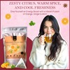 Orange Ginger Mint Herbal Tea 100gm, Natural Herbal Infusion, 50