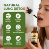 Wild Mullein Drops for Lungs, Organic Liquid Wild Mullein Leaf