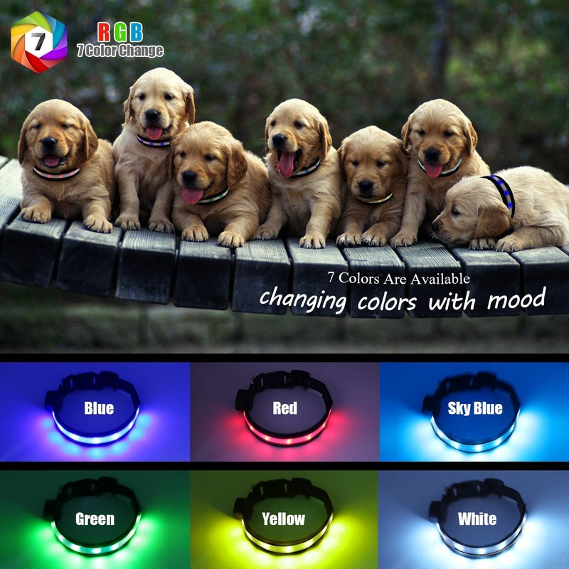 Light Up Dog Collar, Safety LED Dog Collars Rechargeable 7