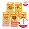 (+Random Lip Balm Giveaway) Choose 1 Burt's Bees Lip Balm Trio / (+립밤 랜덤 증정) 버츠비 립밤 트리오 택1
