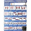 Fitness Poster - Upper Body Dumbbell Exercises