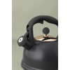 Typhoon Otto Black Stovetop Whistling Kettle 1.8 Litre