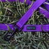 Wagtime Club Soft &Thick Dual Handle 6FT Dog Leash, Premium
