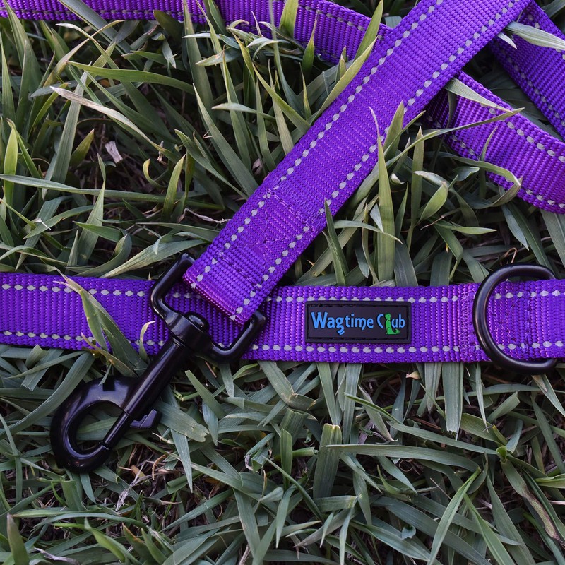 Wagtime Club Soft &Thick Dual Handle 6FT Dog Leash, Premium
