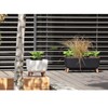 Prosperplast Gracia Square Flower Pot with Removable Legs Including Insert