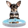 Light Blue Sparkly Dog Collar for Female Dogs, Fancy Bling