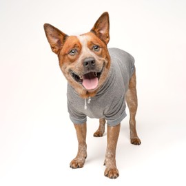 Mama's Boy Dog Hoodie | Fleece Lined |Leash Hole for Mom | Valentine's Day | Prop Photoshoot|Grey, Large (6)