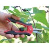 TABOR TOOLS 2-Pack Micro-Tip Pruners with Straight Blades and Fine