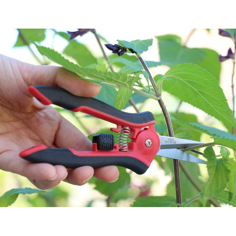 TABOR TOOLS 2-Pack Micro-Tip Pruners with Straight Blades and Fine