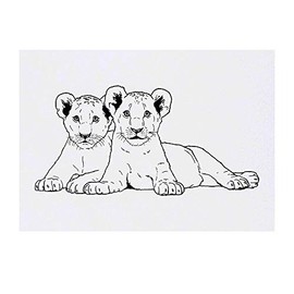 'Lion Cubs' Temporary Tattoo - Water Resistant, Skin-Safe, Non-Toxic Transfer (TO00041004)