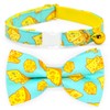 Cheese Cat Bow Tie Collar, Blue & Yellow Cheese Pattern,