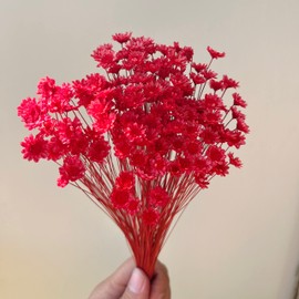 Natural - Dried - Flowers Brazilian Small Star Daisy Dried Decorative Mini Chamomile Bouquet for Wedding Floral Arrangements Home Decorations Valentine's Day Gifts (200 Stems) (Red)
