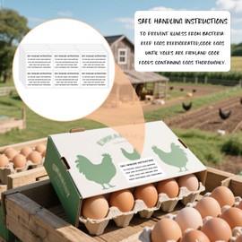 60PCS Egg Handling Instruction Stickers for Farm Fresh Eggs,Self Adhesive Safe Handling Labels for Egg Cartons,Box,Container,Package,Farm Supplies (2.2"x1.4")