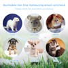 Rypet Small Animal Harness and Leash - Soft Mesh Small