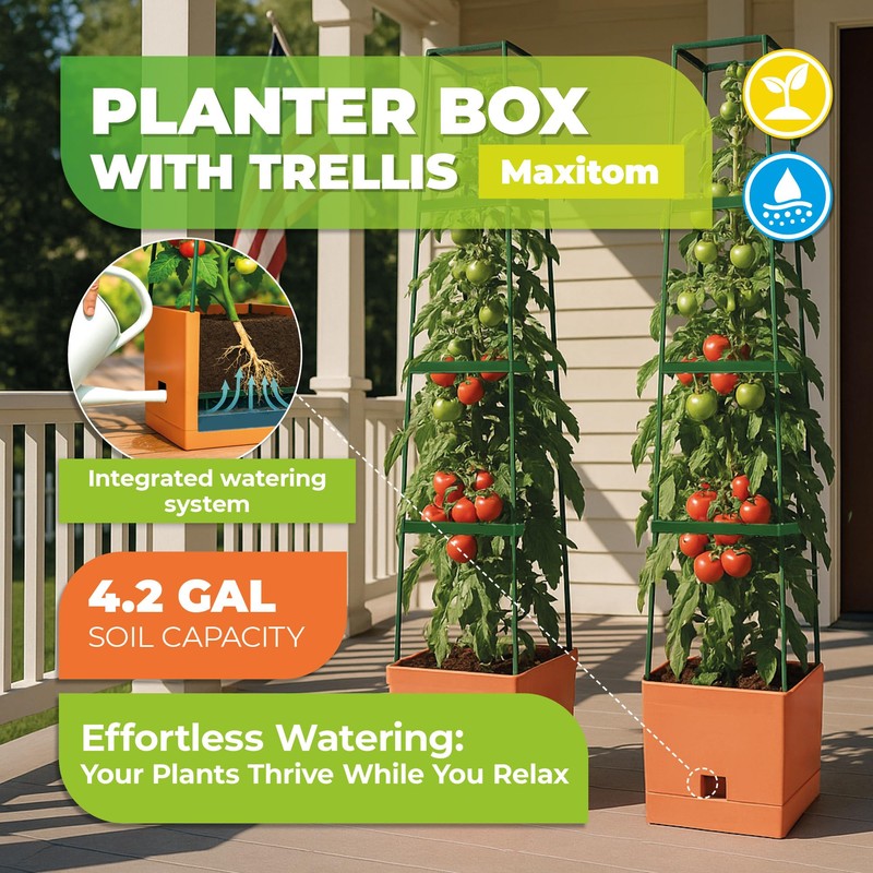 Bio Green 2 Pack Garden Tomato Planter MAXITOM, with Plant