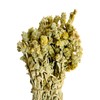 Greek Mountain Tea Malotira Sideritis Syriaca - 460 Grams
