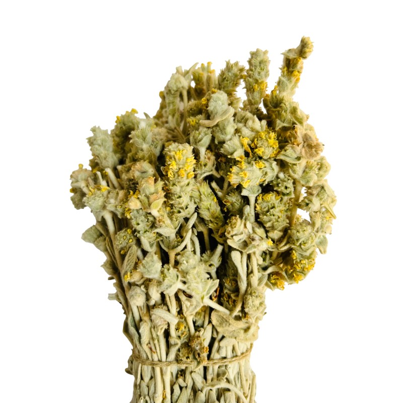 Greek Mountain Tea Malotira Sideritis Syriaca - 460 Grams