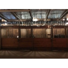 Double Bubble Reflective Foil Insulation: (16 in X 100 Ft Roll) Industrial Strength, Commercial Grade, No Tear, Radiant Barrier Wrap for Weatherproofing Attics, Windows, Garages, RV's, Ducts & More! …