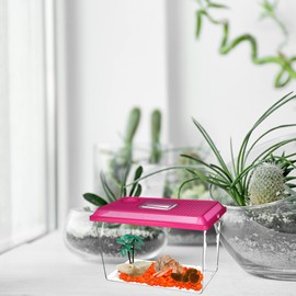 Needzo Ultimate All in One Hermit Crab Cage Starter Pack, Beginner Habitat Supplies Kit for Terrariums, Includes 2 Gallon Cage, Food, Pool, Feeder, and More, Colors May Vary, 7 Pieces