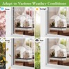 Clear Window Bird Feeder with Strong Suction Cups Bird Feeders